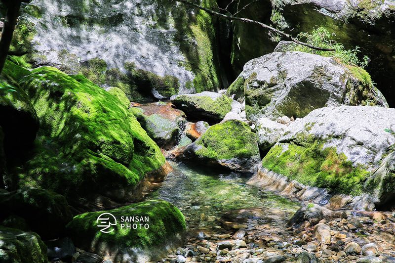 ΢ÐÅͼƬ_20190605164326.jpg