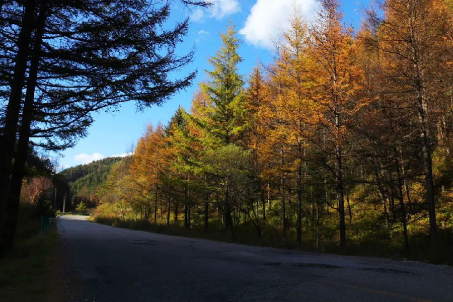 05.jpg