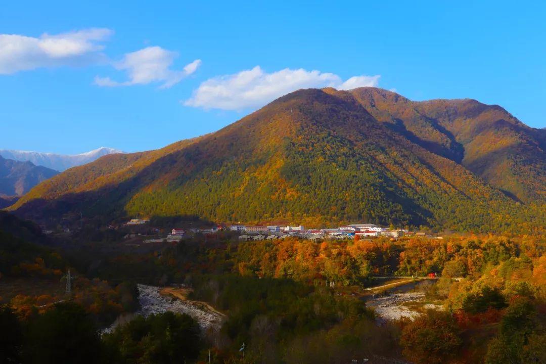 06.jpg