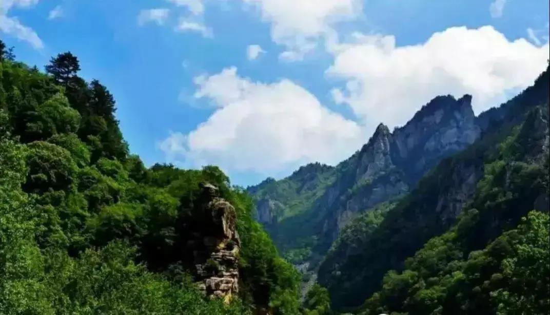 微信图片_20200528203752.jpg