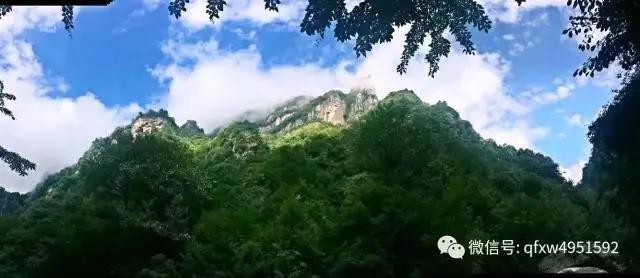 微信图片_20200528203804.jpg